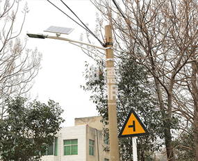 Solar street light 004